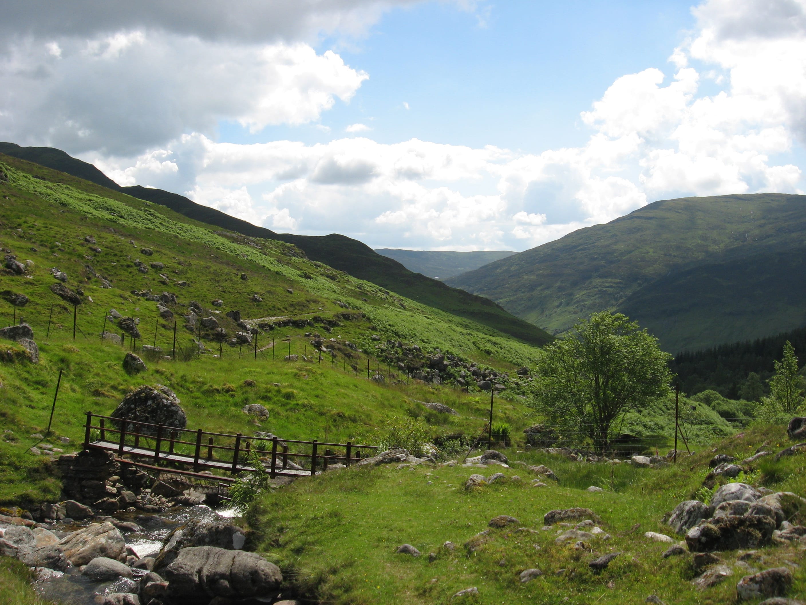 GREENERY: Glen Lyon