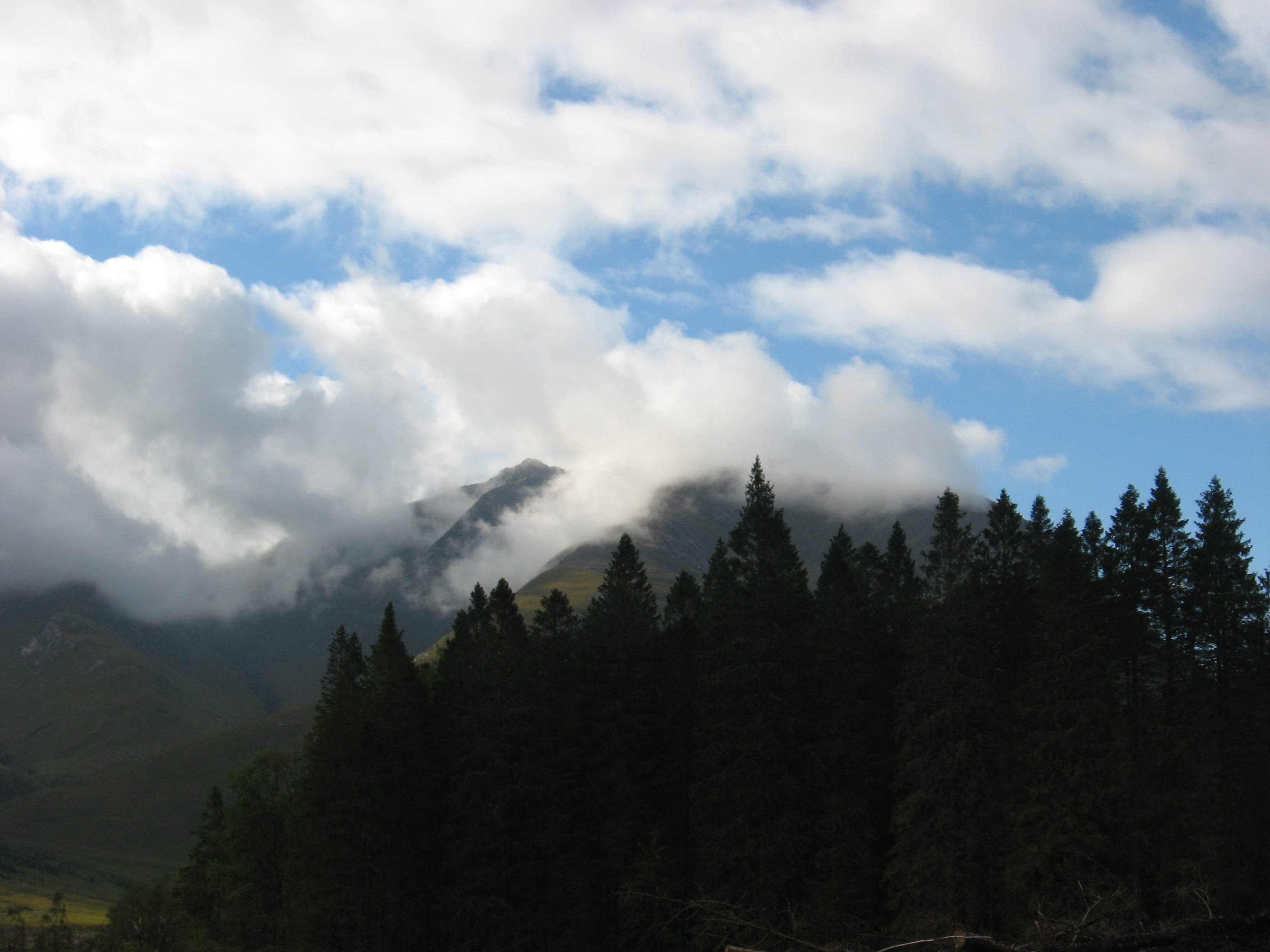 THE WOOD, THE BAD AND THE UGLY: Forestry can prove an impenetrable barrier en route to mountains