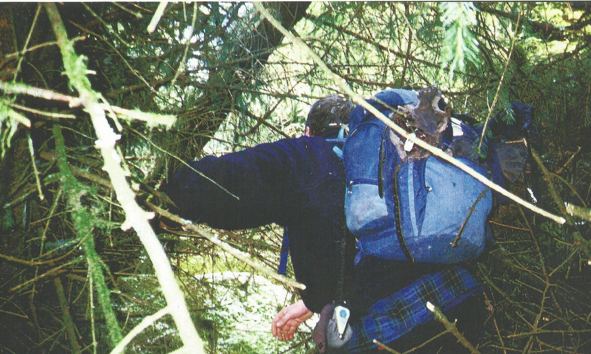 TOUGH GOING: Forest battle