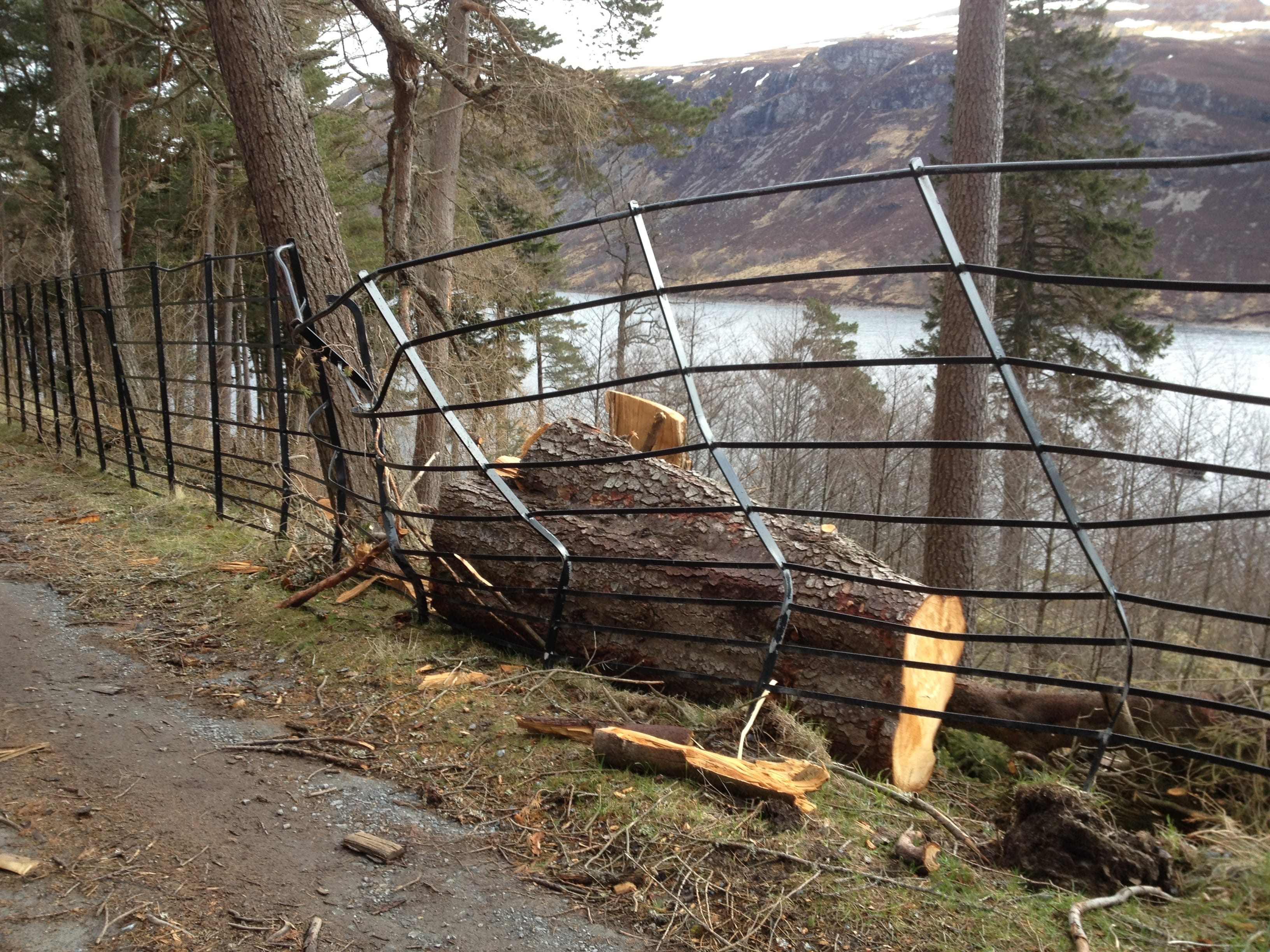 SMASHED: Storm damage