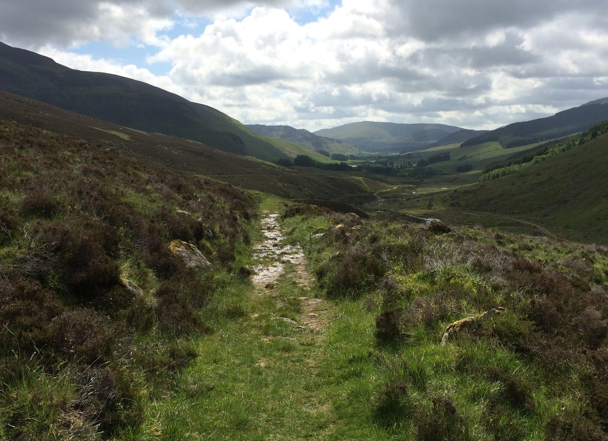 MAKING TRACKS: Looking down the grassy path in Glen Lochsie where the old railway used to run