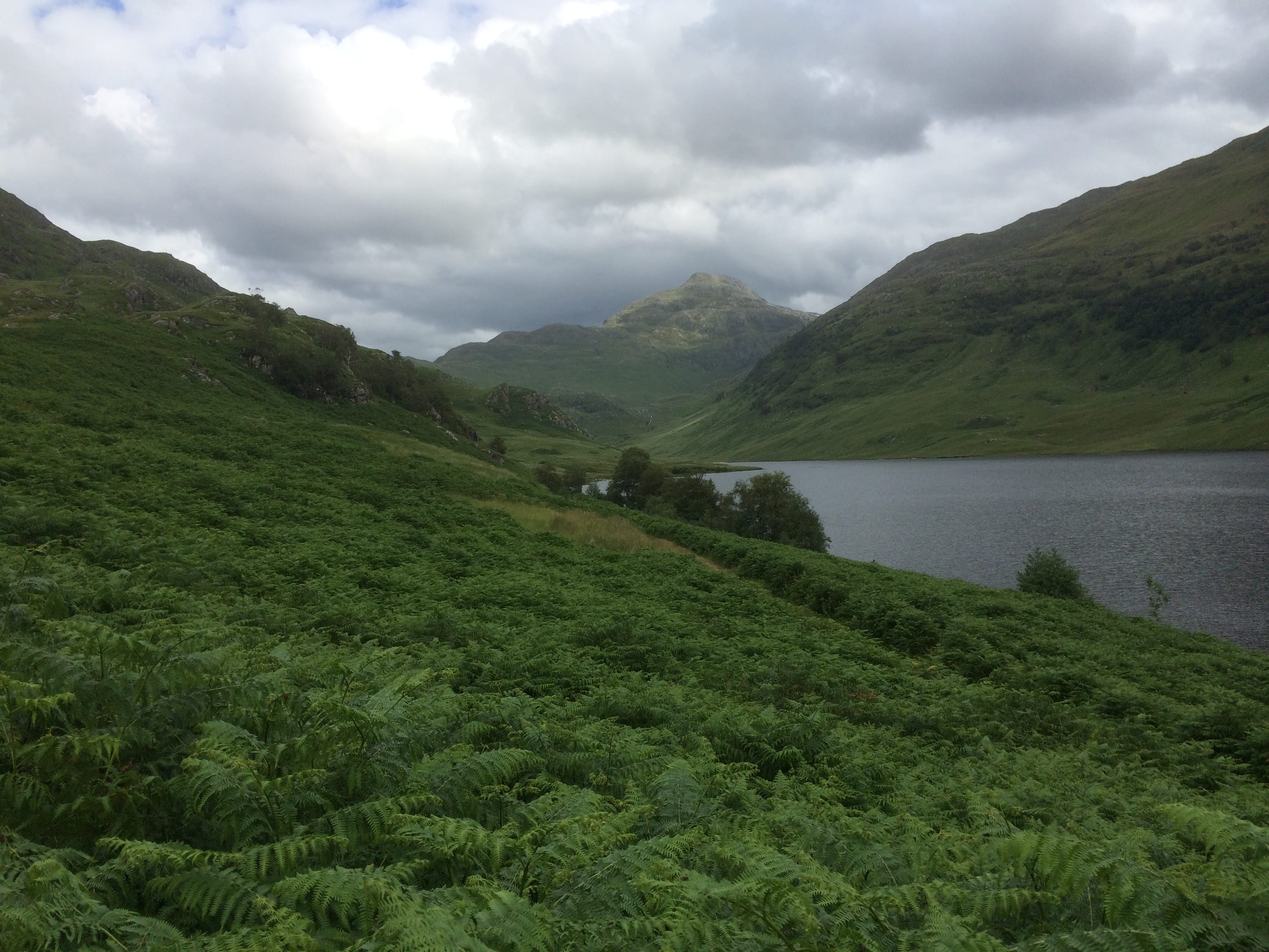 FILM STAR: Luinne Bheinn stands out on the horizon above a sea of greenery in Gleann an Dubh-Lochain