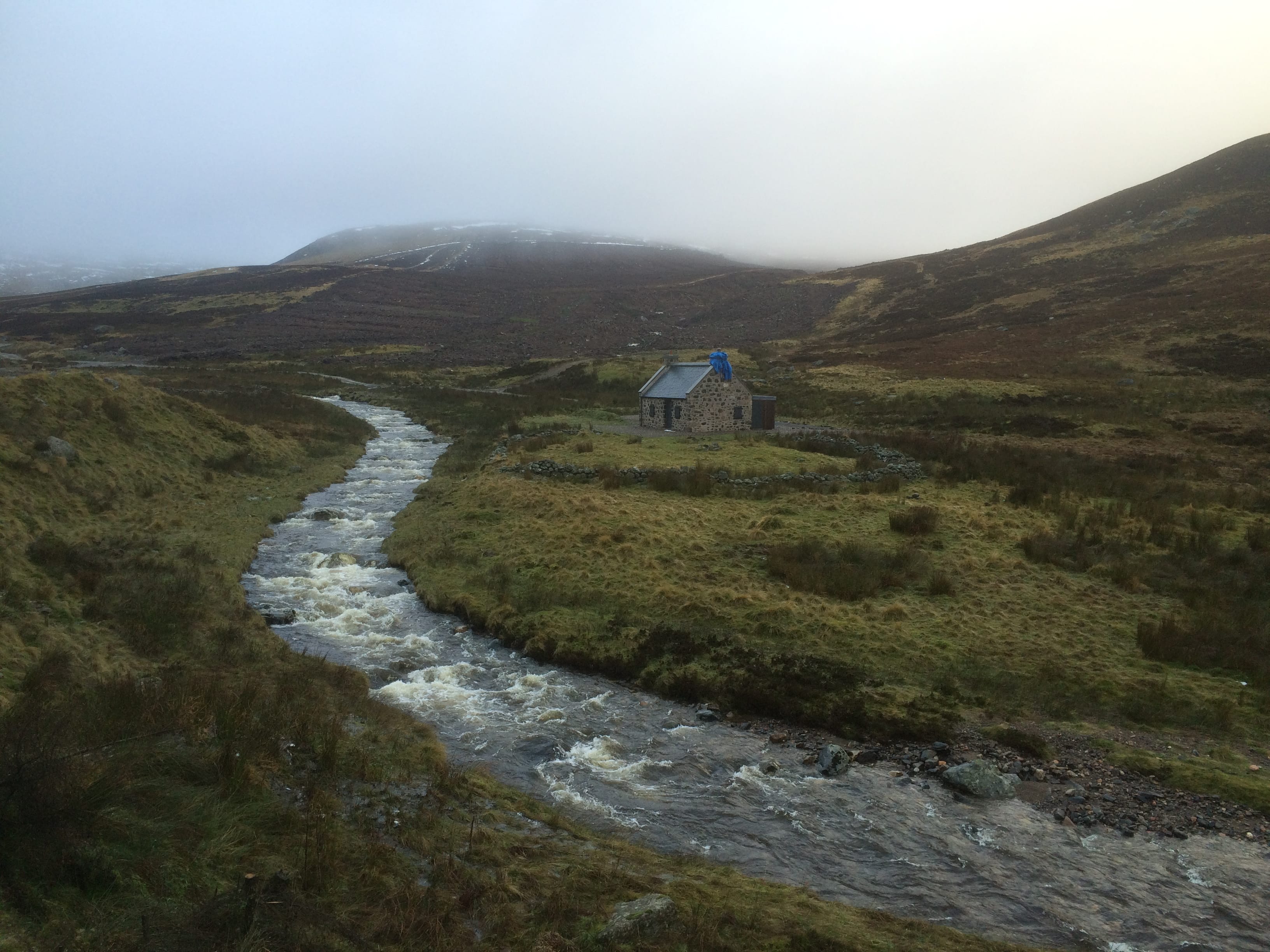 NEW LIFE AND DEATH: The renovation of the house at Kilbo is nearing completion but the forest behind has been flattened