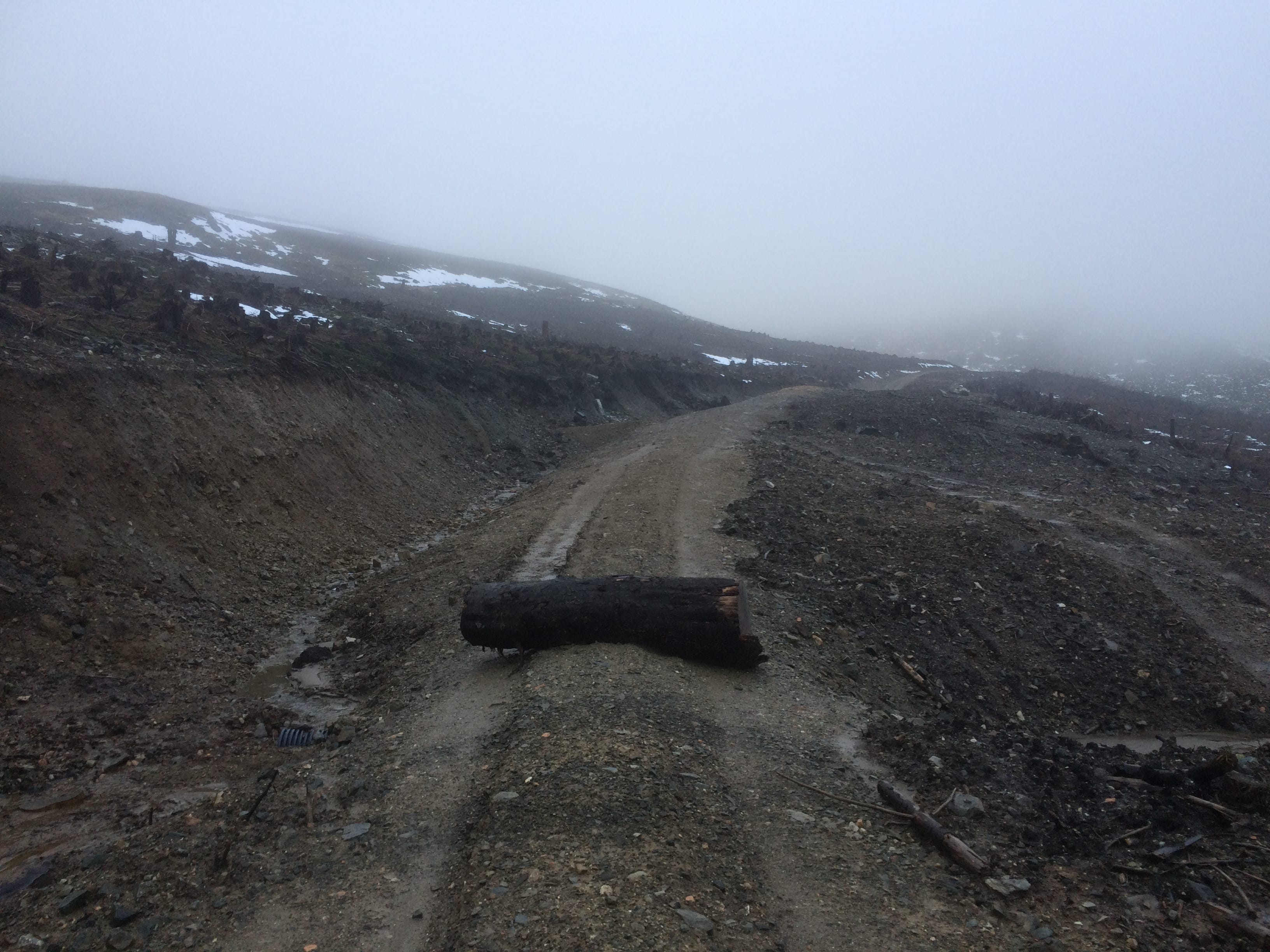 SCAR: The bulldozed track