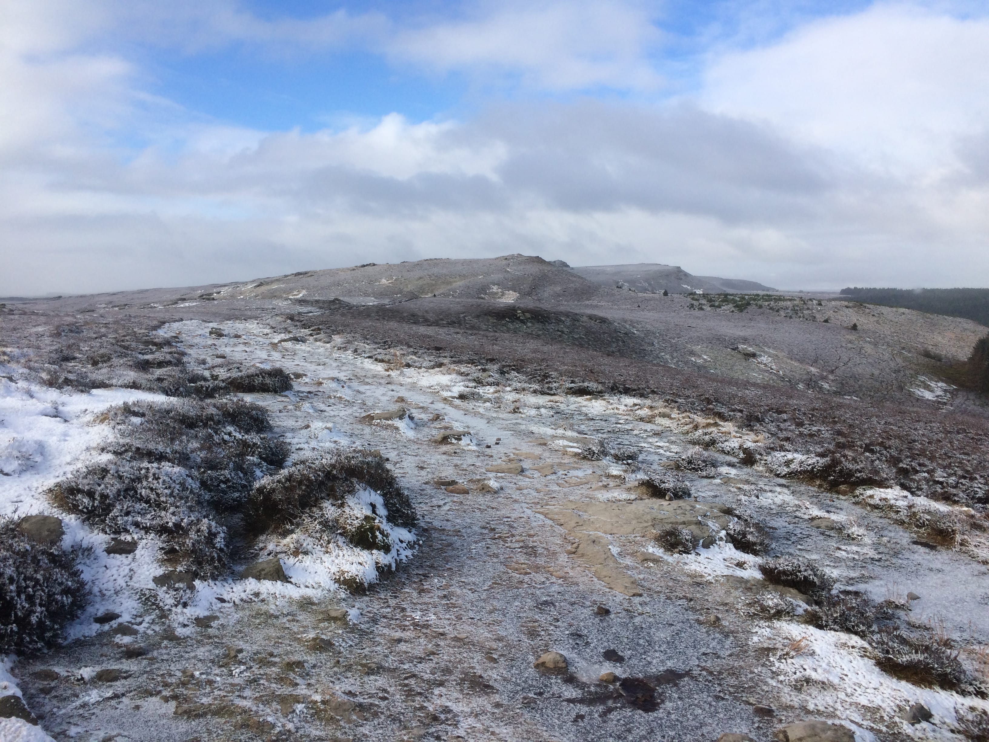CONSOLATION PRIZE: Simonside
