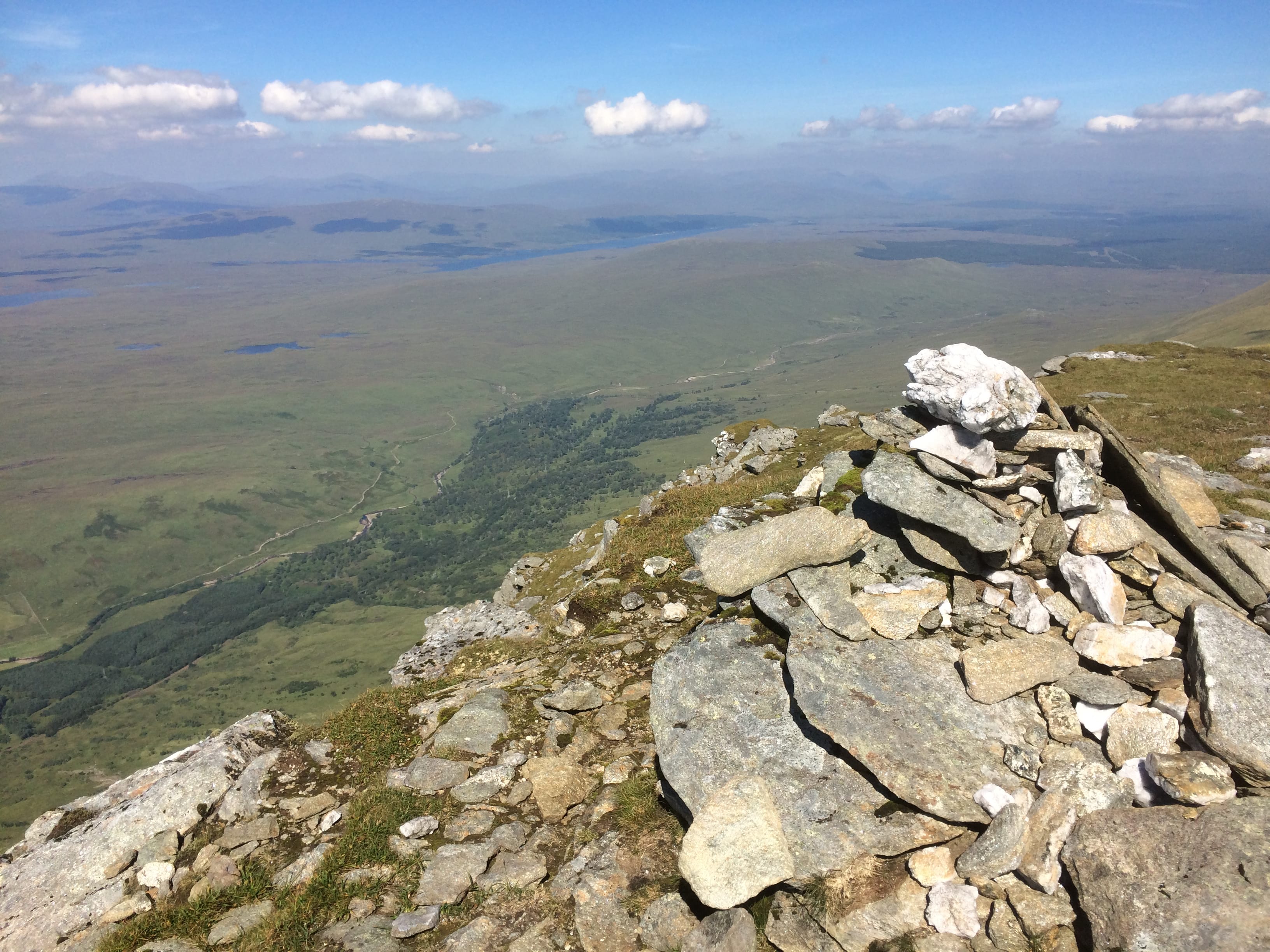 TREELINE: Looking down on the spread of the resurgent Crannach Wood from high on Beinn Achaladair