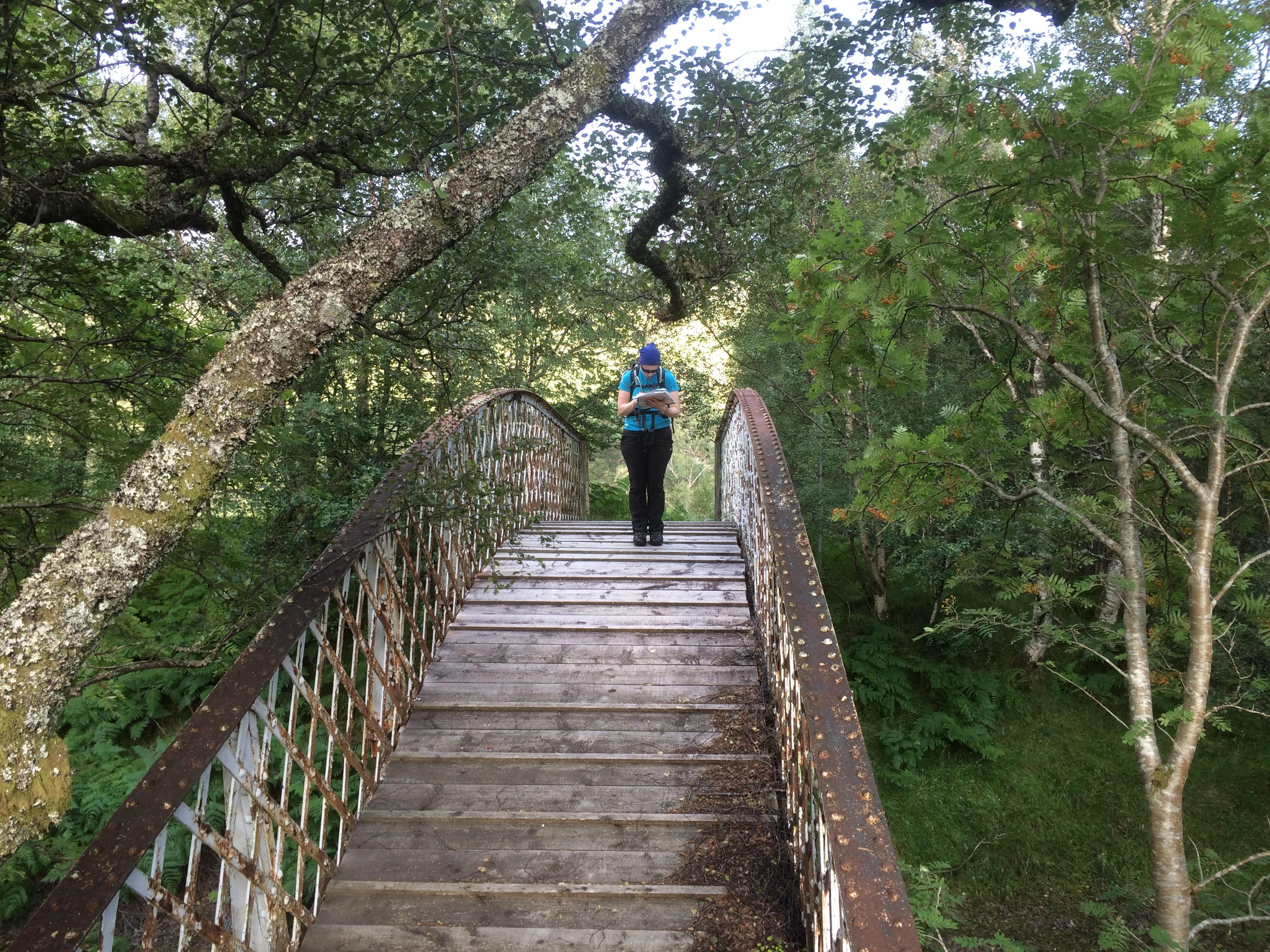 WOODLAND WALK: Checking the map