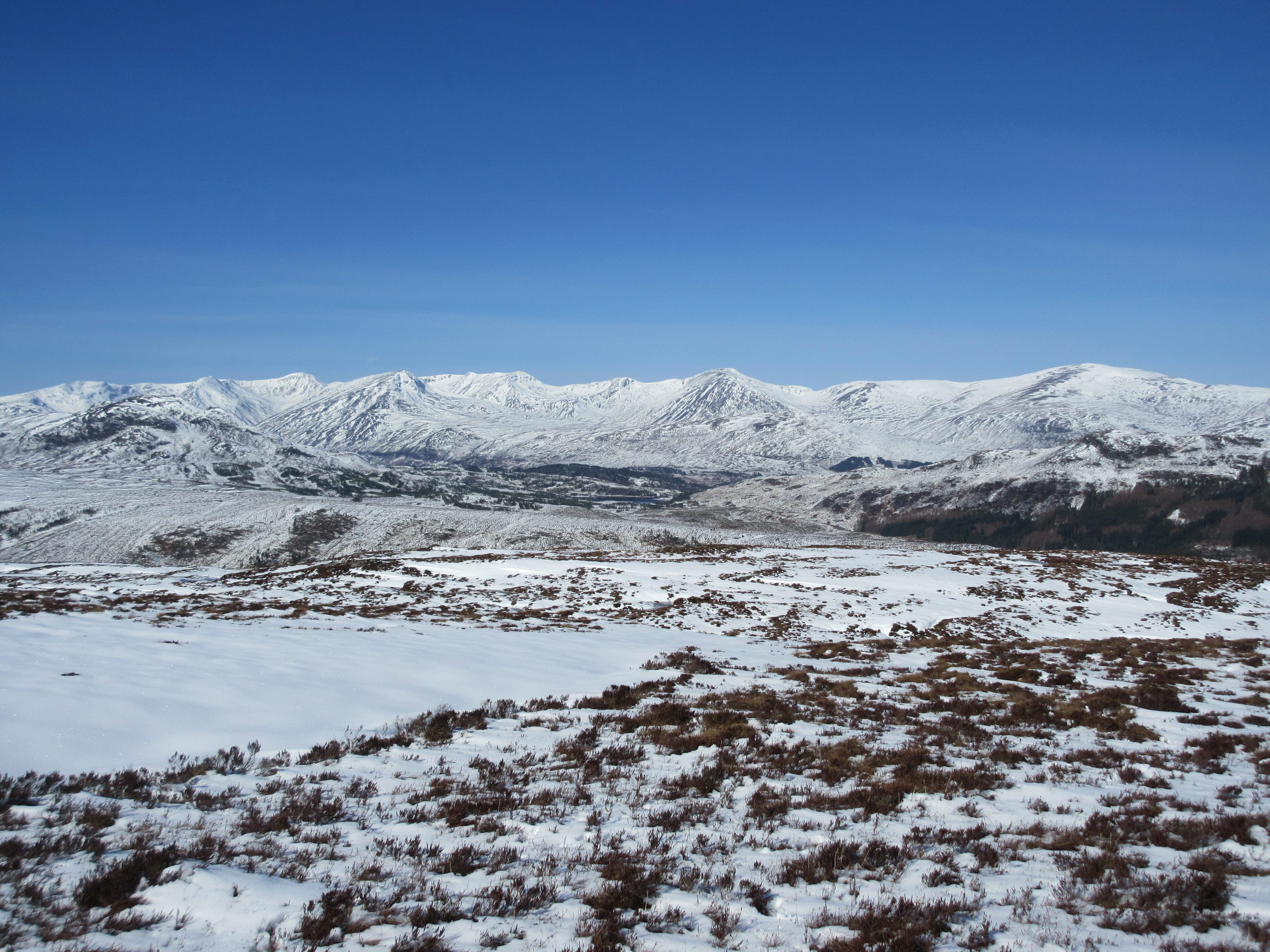 LINE OF BEAUTY: The big Affric Munros in their winter garb stand on the horizon under blue skies from the slopes of Carn a' Chaochain