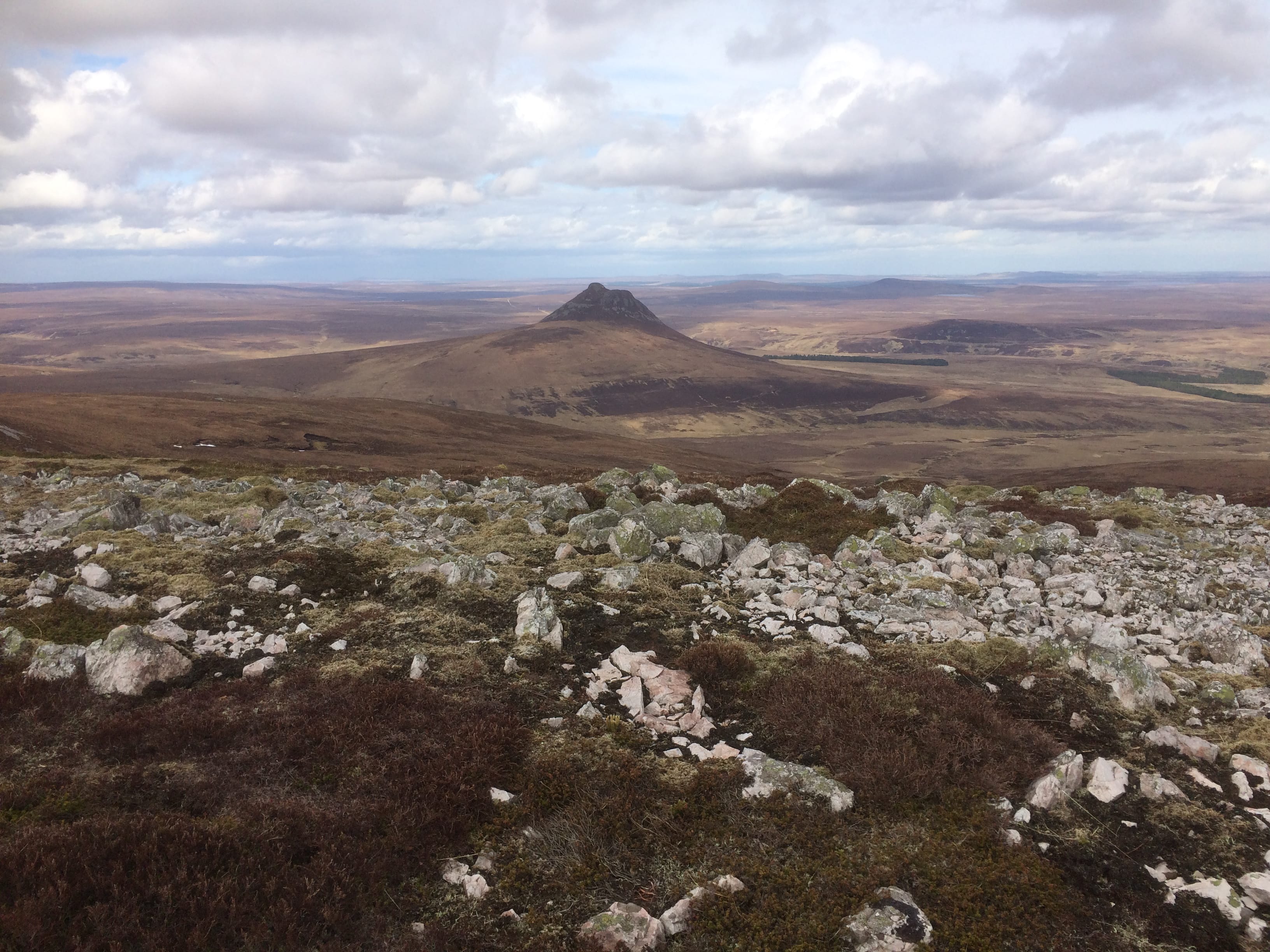 STAND-OUT: Maiden Pap