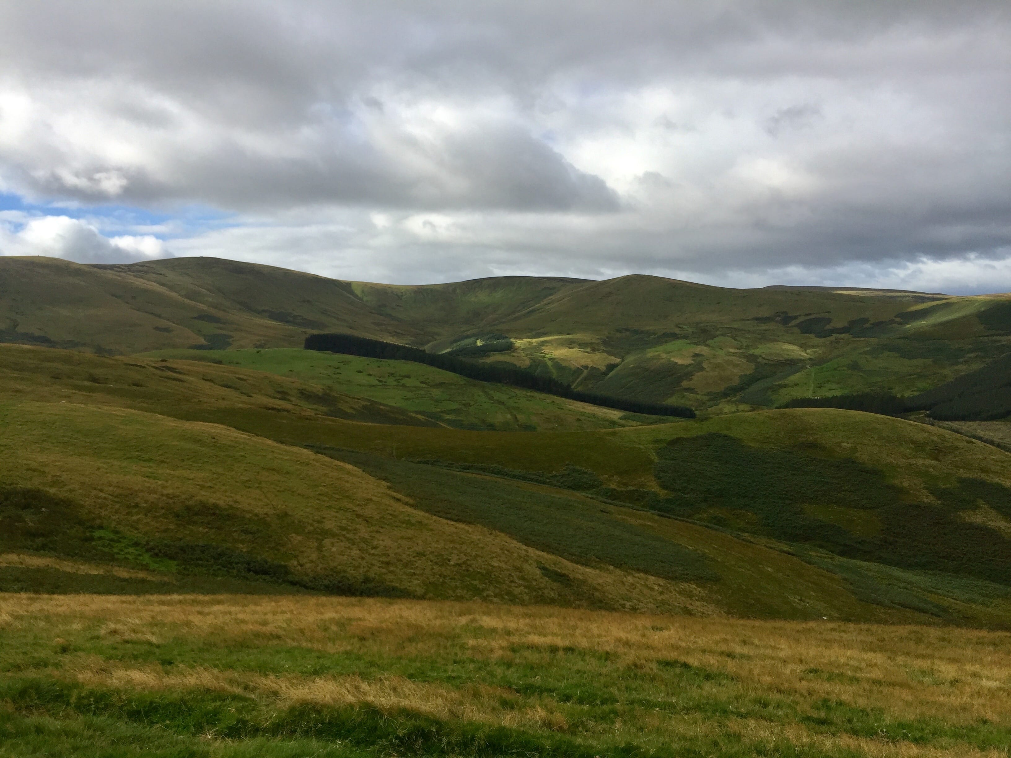 GREEN PATCHWORK: Pastoral shades on the route up to the Pennine Way and the Border from Cocklawfoot