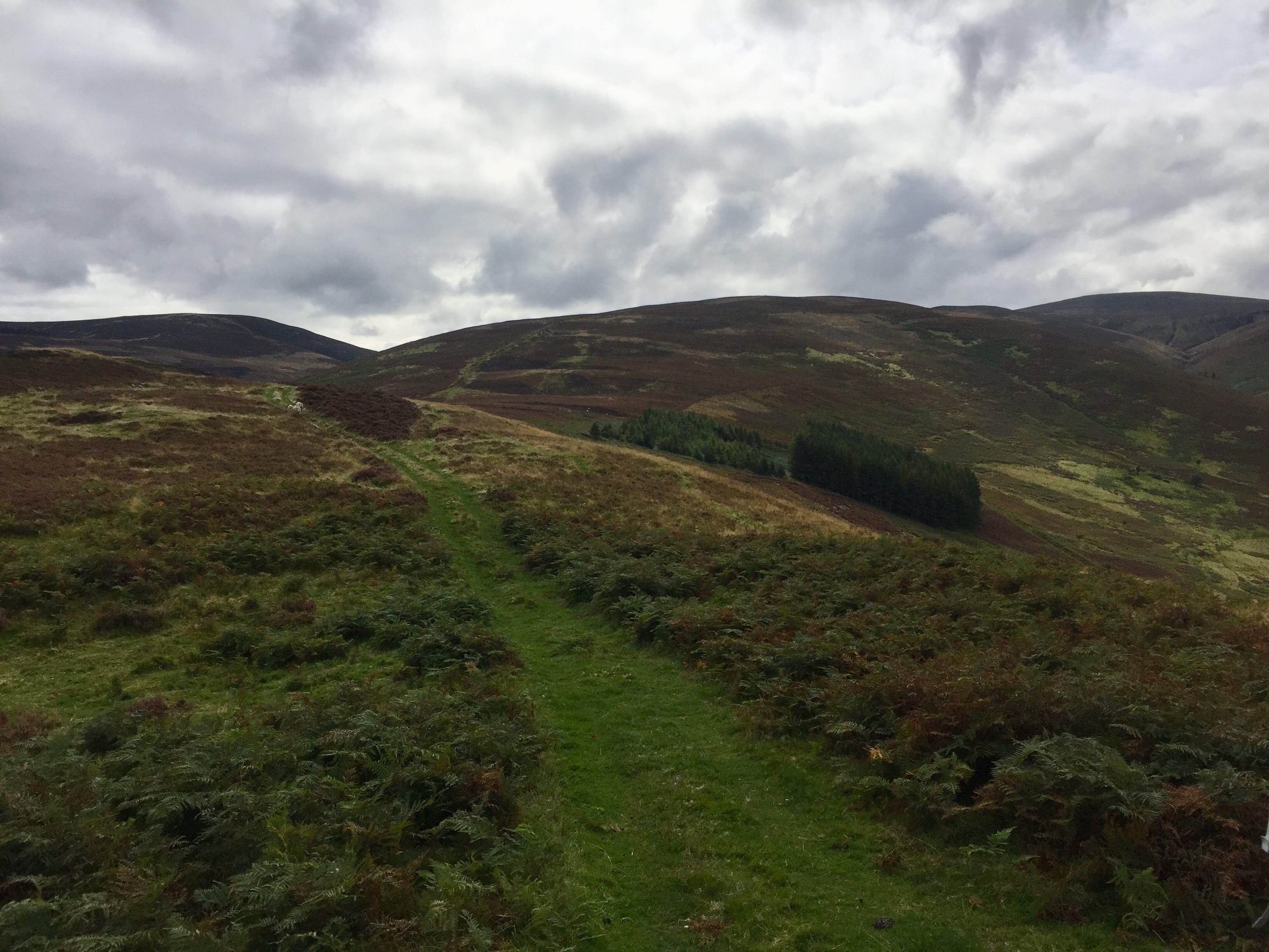 GRASS ASCENT: Hundleshope