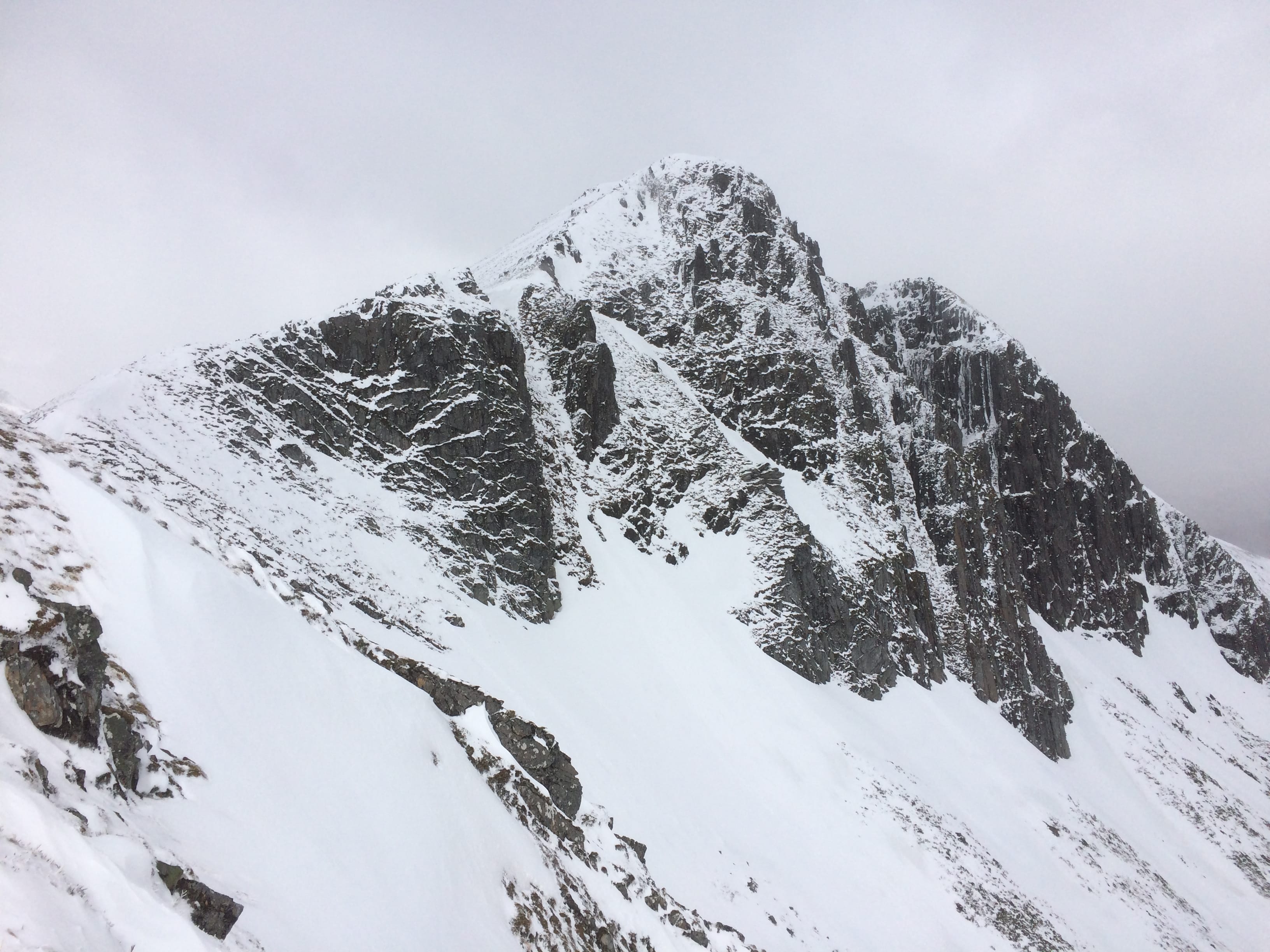 DARK FACE: Ciste Dhubh