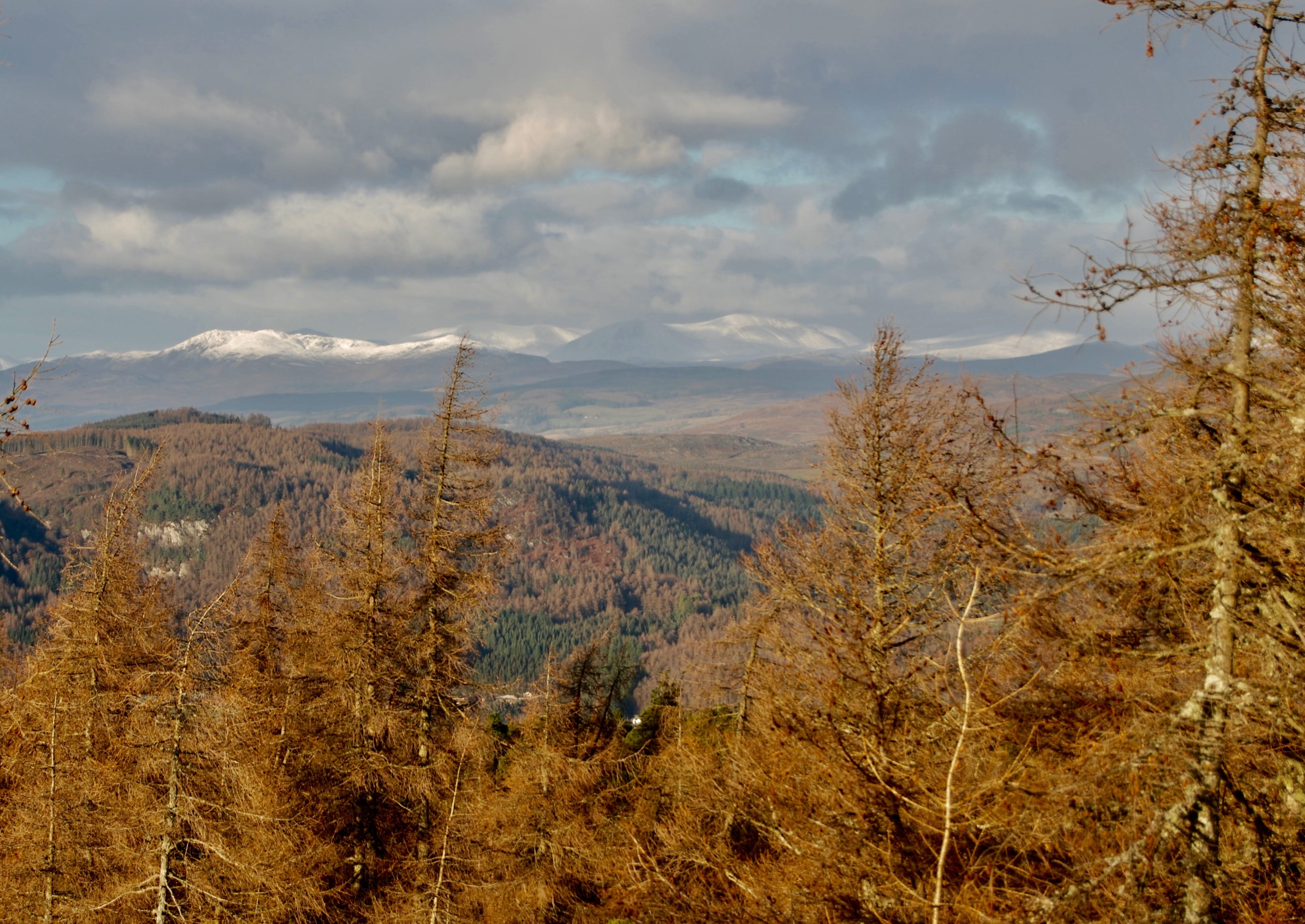 DISTANT PEAKS: From Birnam Hill