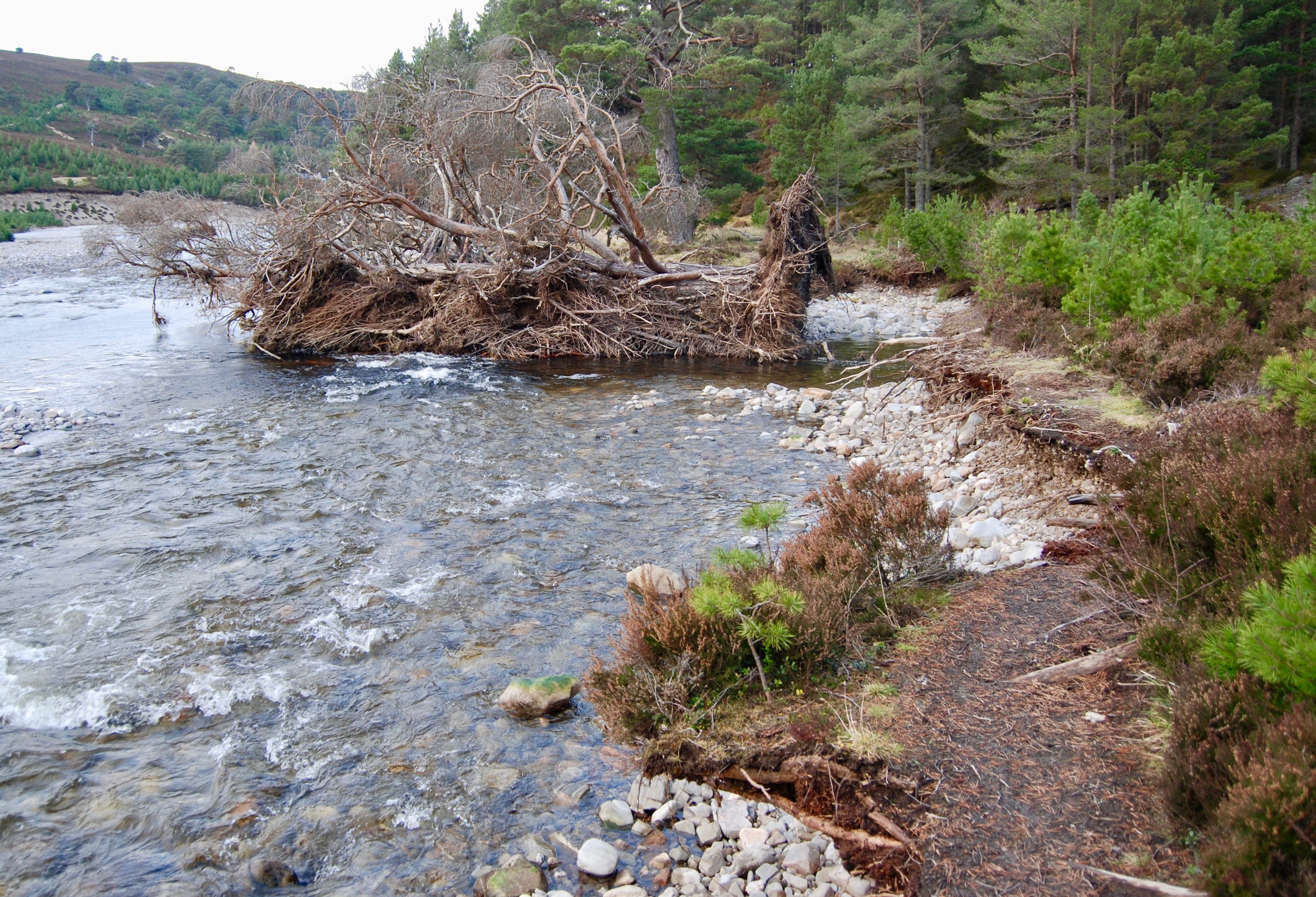 DAMAGED: Broken Feshie path