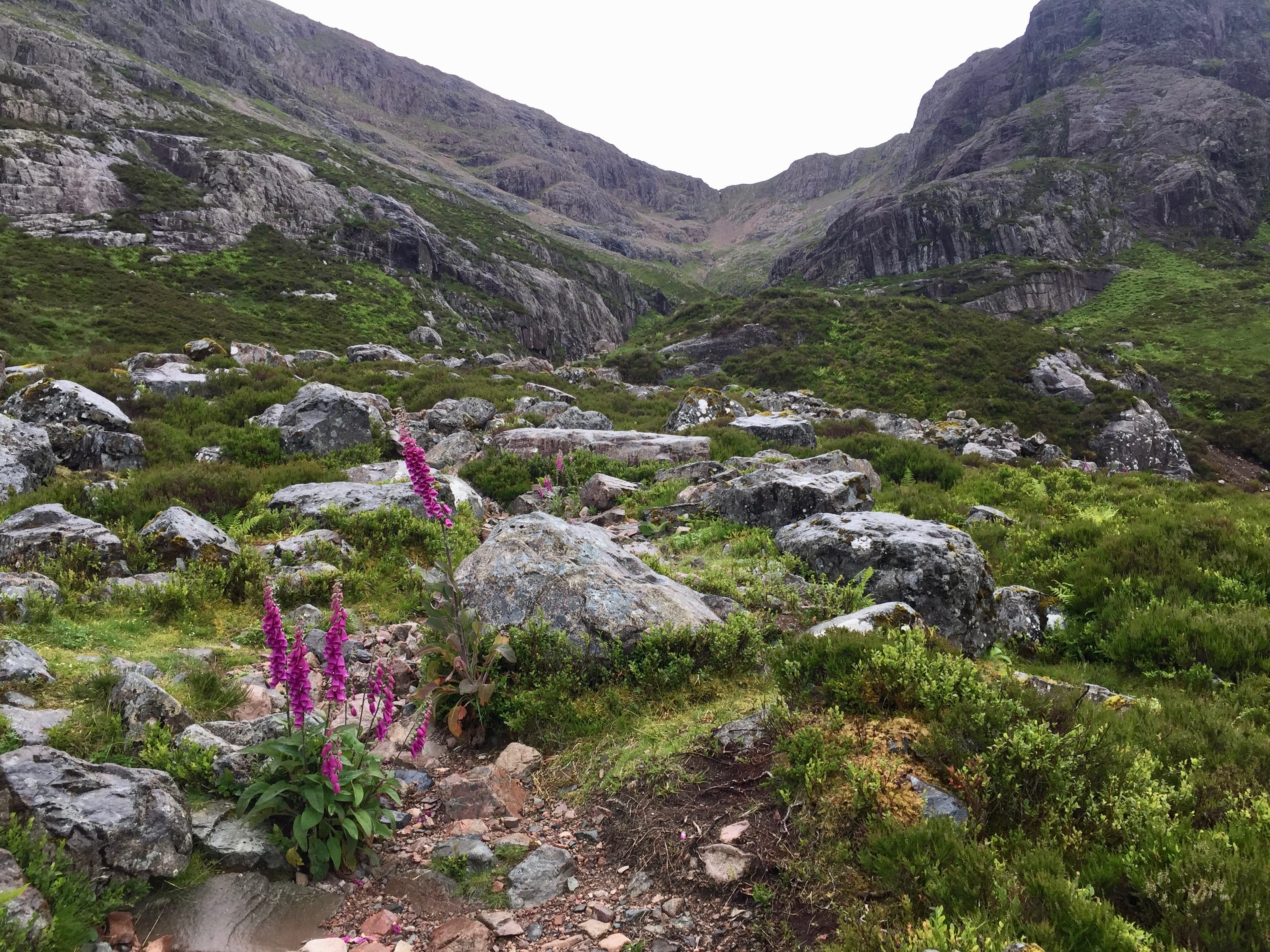 GRAND OPENING: Coire na Tulaich