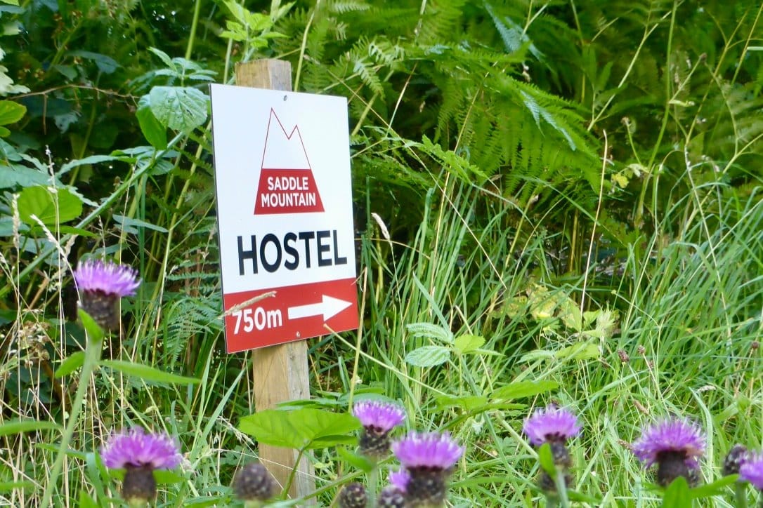 POINTING WAY AHEAD: Scotland's independent hostels have presented a united front for extra support during crisis