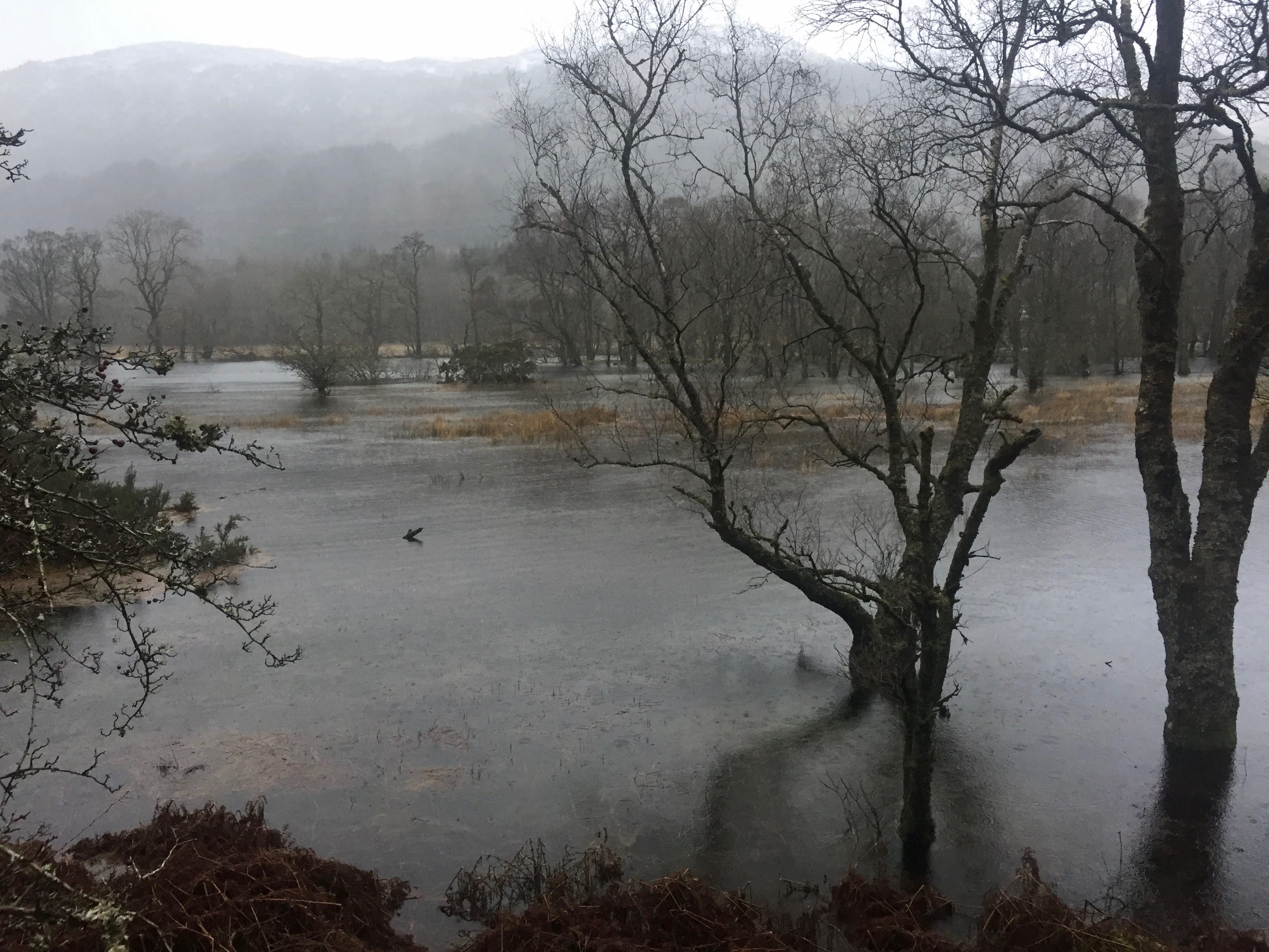 FLOOD WATERS: Loch Lomond
