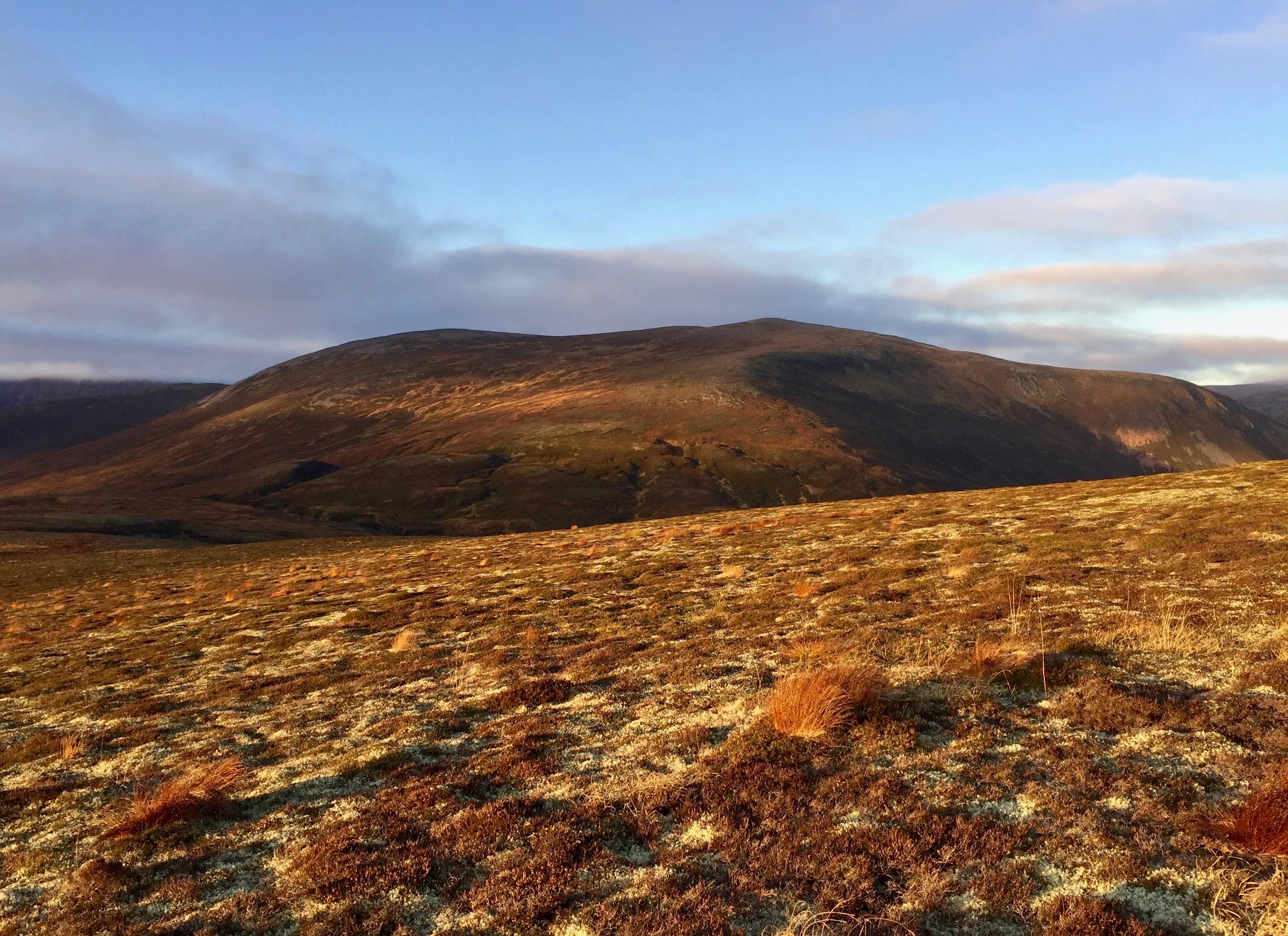 BEINN a' GLOW: Dowdy Beinn Bhreac is transformed into an auburn beauty in evening light from Meall an Lundain
