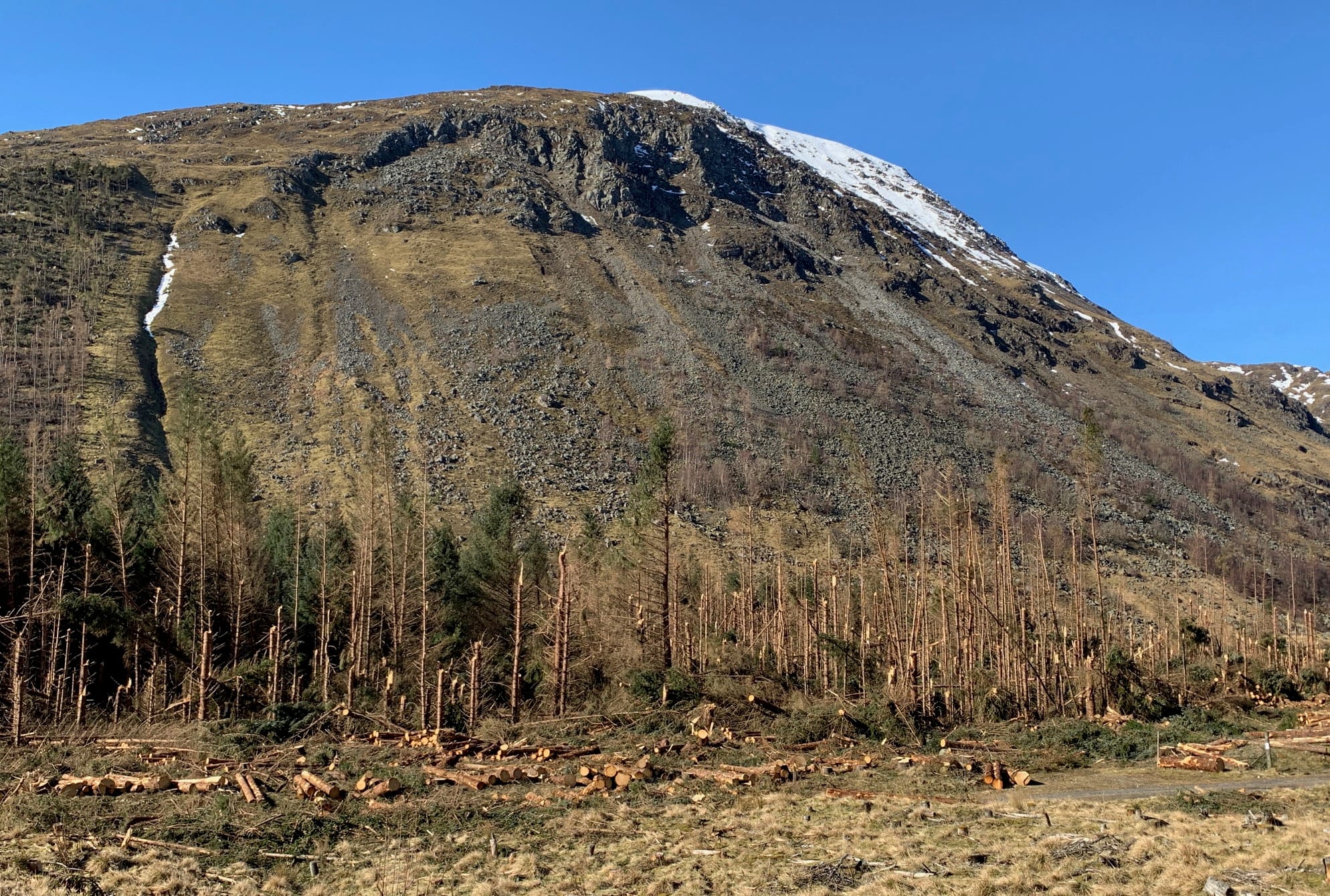 STORM DAMAGE: The shattered remains of the woodland under Cairn Broadlands, trees spilt and stripped by Storm Arwen