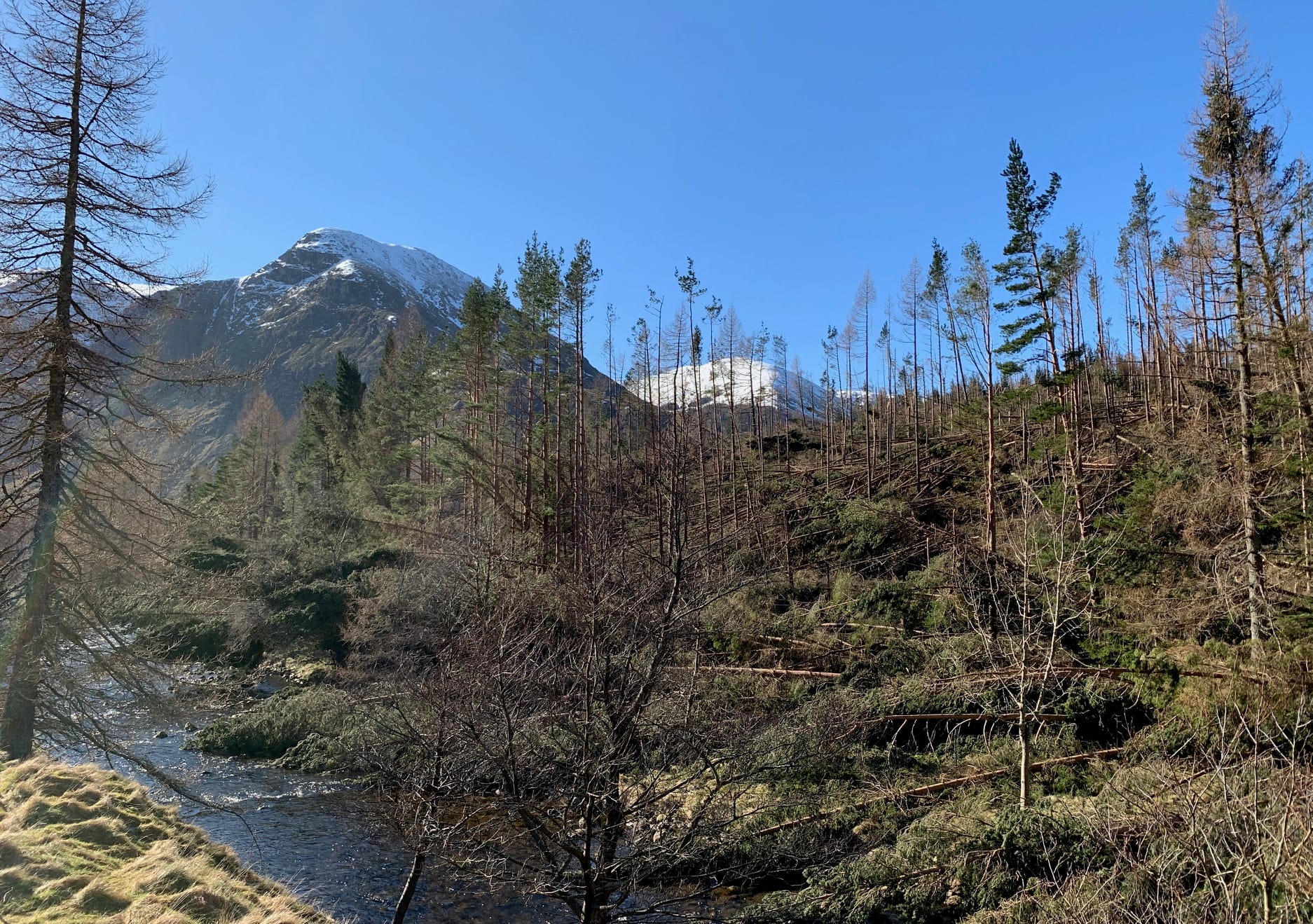 IMPASSABLE: South Esk trail